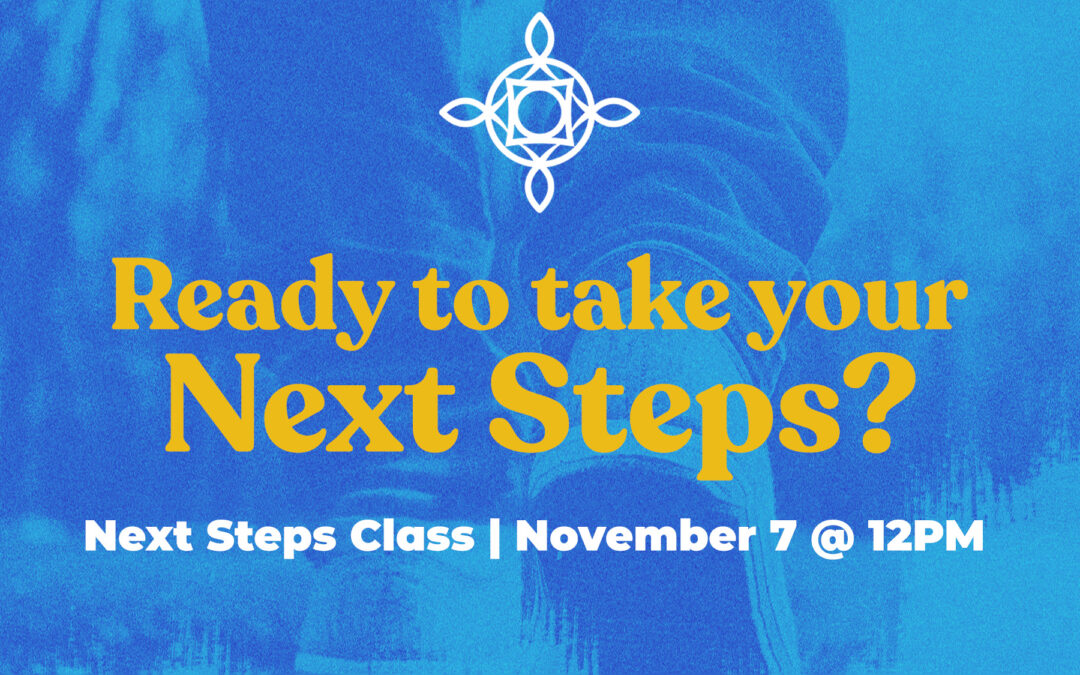 Next Steps