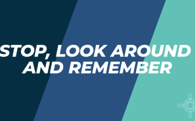 Stop, Look Around, and Remember