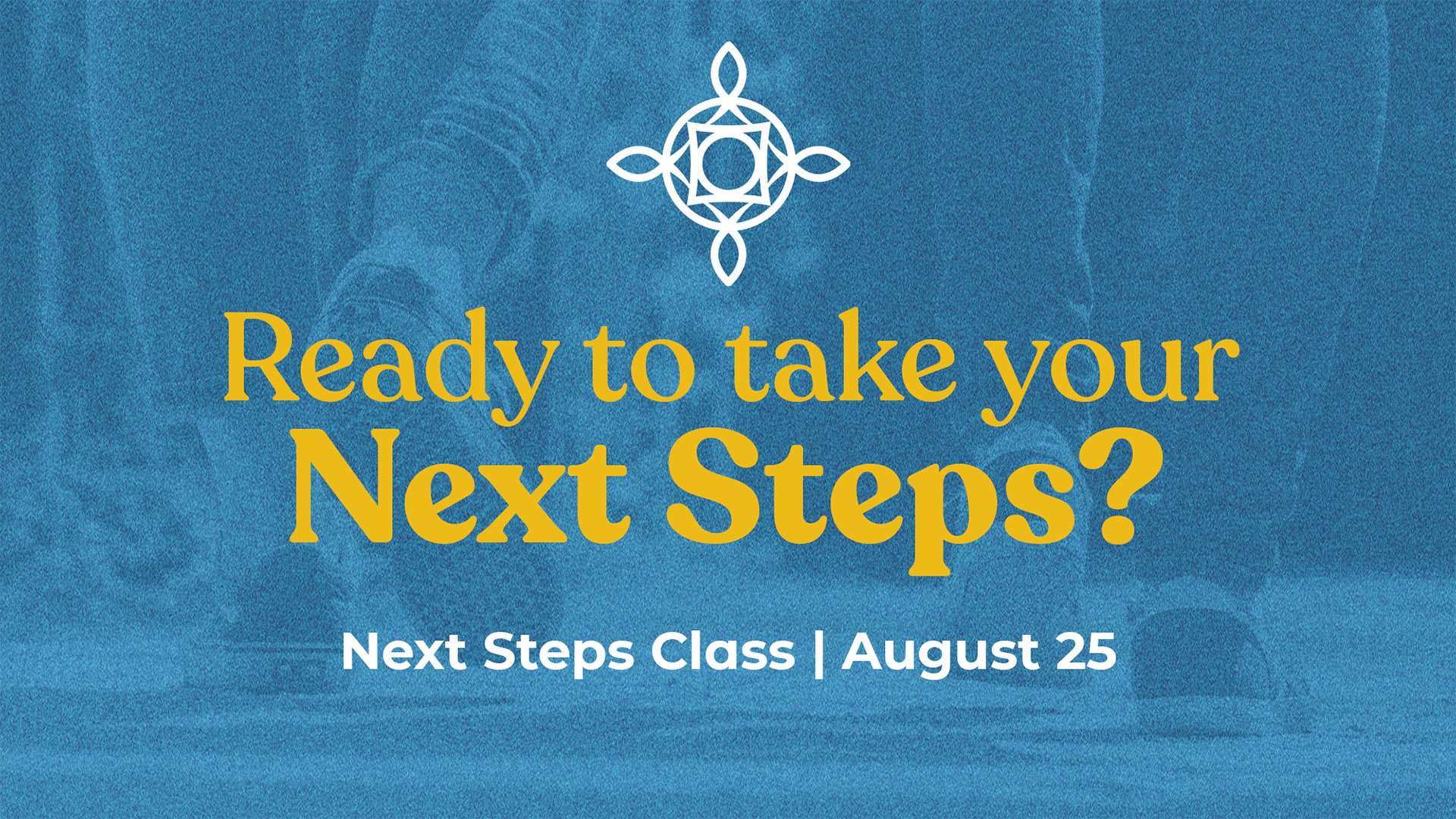 NextSteps_Aug2024