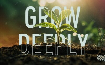 Grow Deeply